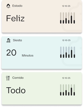 Generación de reportes diarios